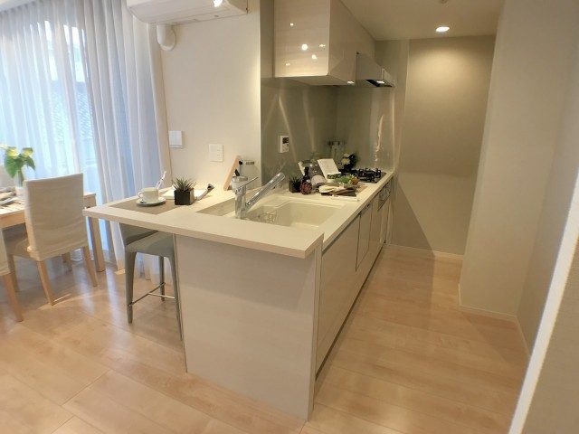 両国石原パ―クホームズ キッチン