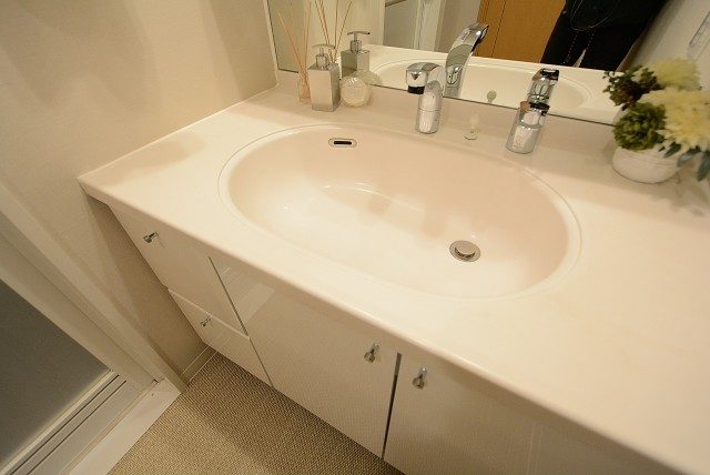 ライフレビュー大森 洗面