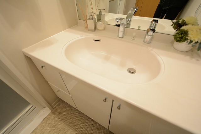 ライフレビュー大森 洗面