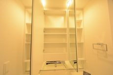 プレミストベイフォートスクエア豊洲 洗面