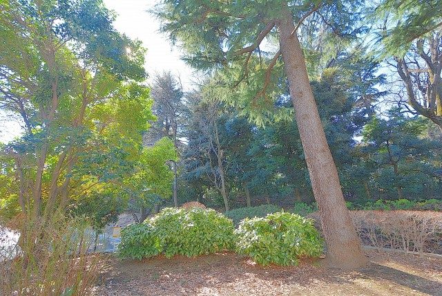 江古田の森公園 江古田の森公園