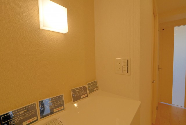 ミオカステーロ雪ヶ谷アルテパラッツォ 玄関