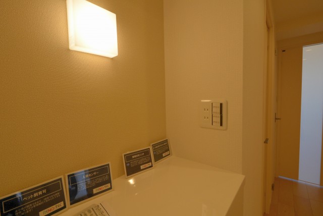 ミオカステーロ雪ヶ谷アルテパラッツォ (31)玄関