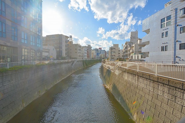 メゾンドール高田馬場　明治通り