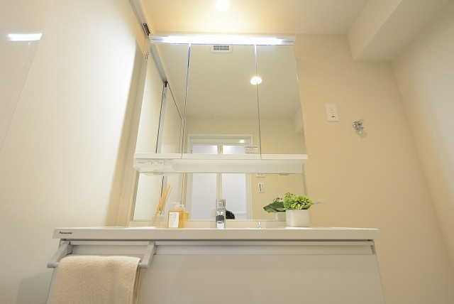 メゾンドール高田馬場 洗面