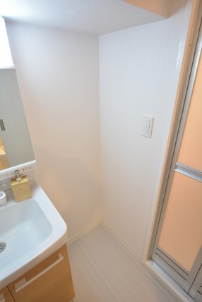 秀和椎名町レジデンス 洗面室