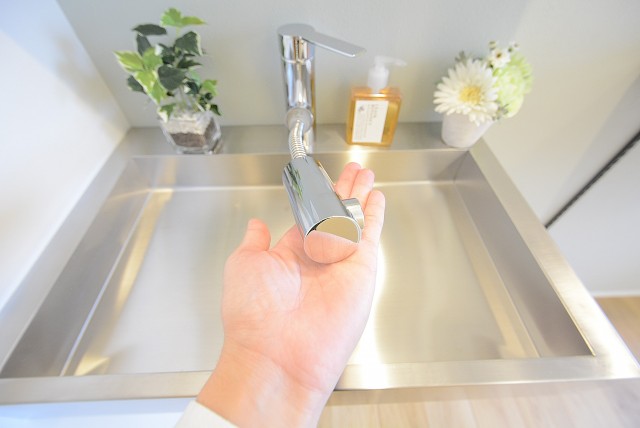 メゾンドール高田馬場 洗面