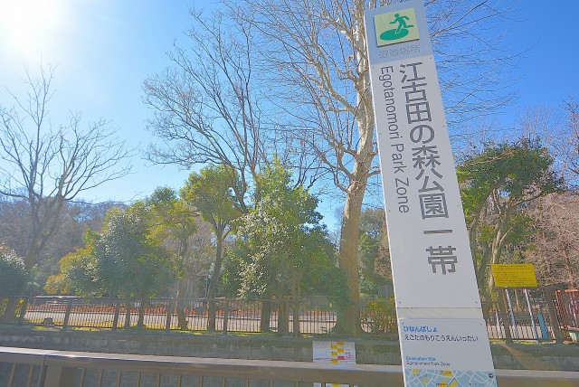 江古田の森公園