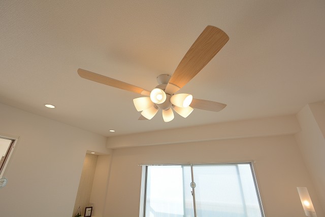 目白ハイビル ＬＤ