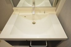 サンライズ上馬 洗面室