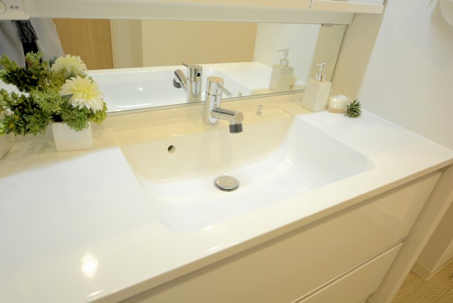 ライオンズガーデン幡ヶ谷 洗面