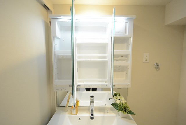 メゾンドール高田馬場 洗面