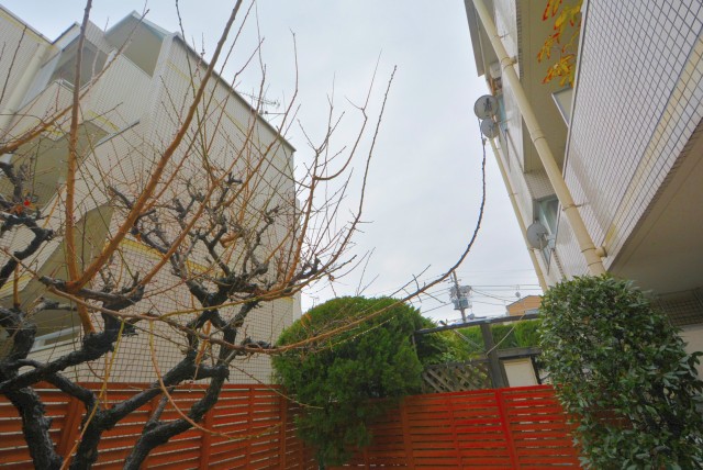 渋谷本町オリエントコートⅡ バルコニー・庭