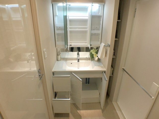 両国石原パ―クホームズ 洗面