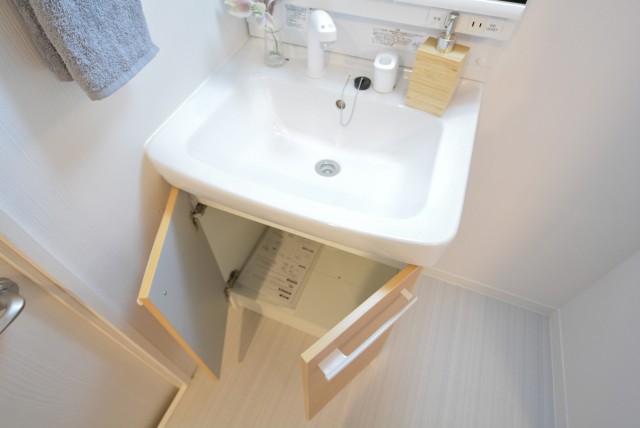 秀和椎名町レジデンス 洗面室