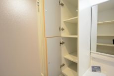 ミオカステーロ雪ヶ谷アルテパラッツォ 洗面