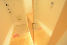 ＮＩＣハイム亀戸 玄関