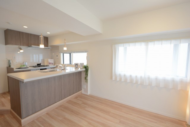 サンライズ上馬マンション LD