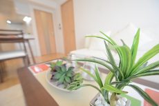 ＮＩＣハイム亀戸 ＬＤ