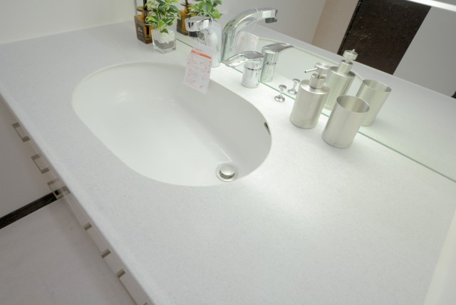 グラーサ駒沢大学 洗面