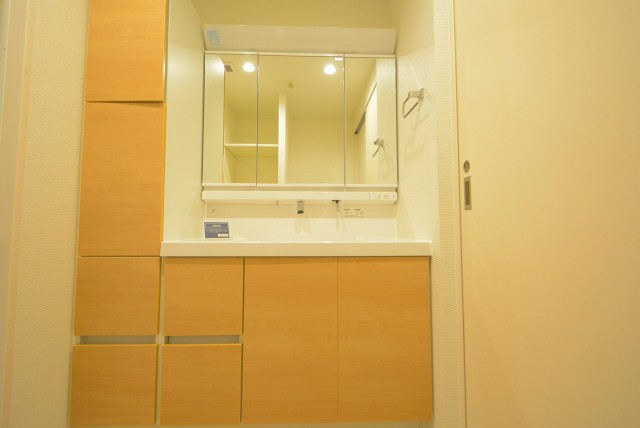 ミオカステーロ雪ヶ谷アルテパラッツォ 洗面