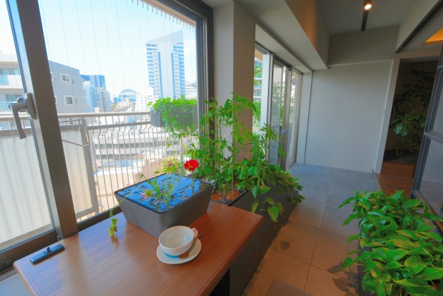 イトーピア渋谷桜ヶ丘 バルコニー