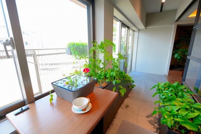 イトーピア渋谷桜ヶ丘 バルコニー