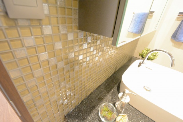 外苑パークホームズ 洗面