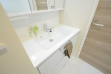 グランドメゾン新宿東 洗面