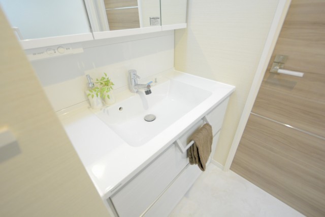 グランドメゾン新宿東 洗面