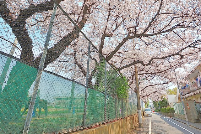 学芸大ニュースカイマンション