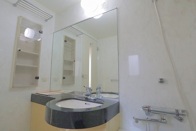 イトーピアアルファシティ池袋 収納