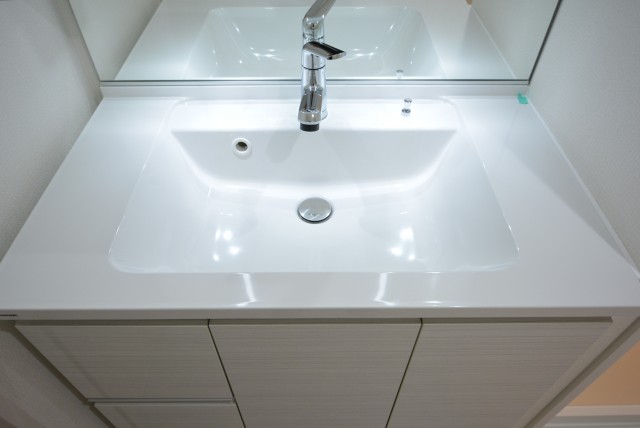 サンクレイドルレヴィール池袋 洗面室