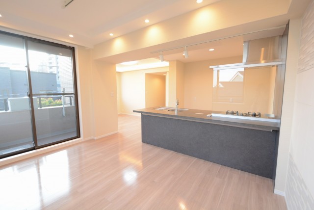 ディアナコート高輪 LD