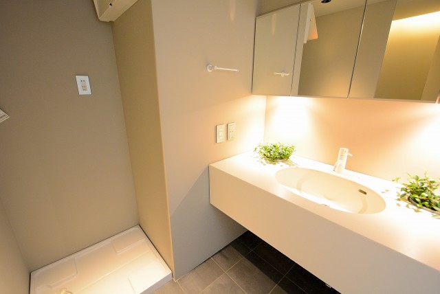 イトーピア渋谷桜ヶ丘 洗面