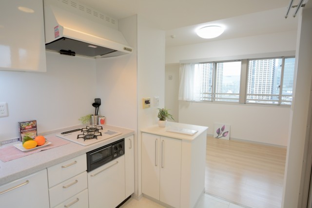 パークアクシス白金台南 キッチン