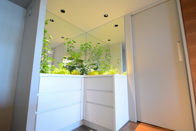 イトーピア渋谷桜ヶ丘 玄関