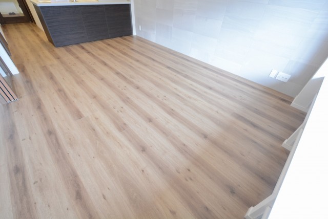 グリーンヒル小石川 LD