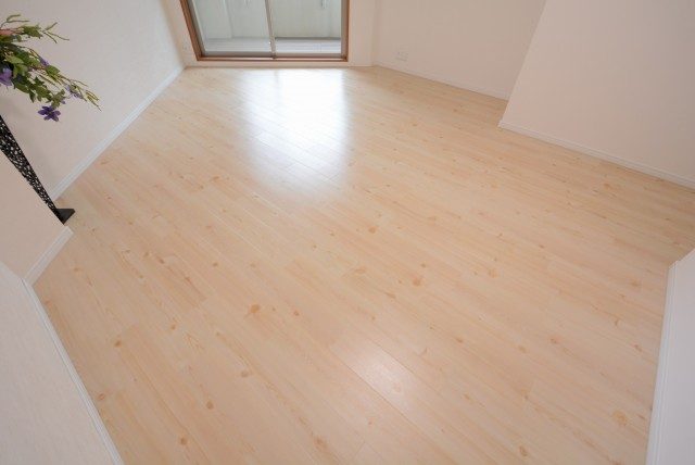 サンウッド新宿戸山フラッツ LD