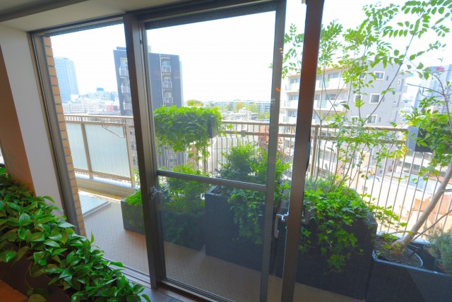 イトーピア渋谷桜ヶ丘 バルコニー