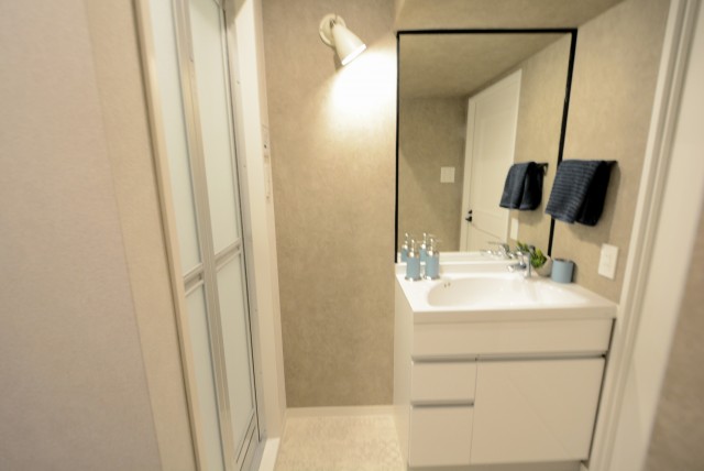 中銀マーブルマンシオン新宿五丁目 洗面