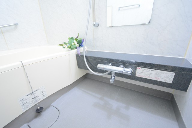 サンウッド新宿戸山フラッツ バス