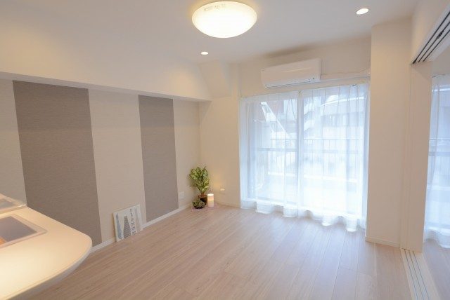 グランドメゾン新宿東 LD