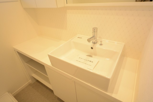 本郷サンハイツ 洗面