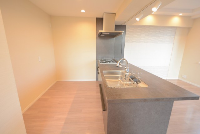 ディアナコート高輪 キッチン