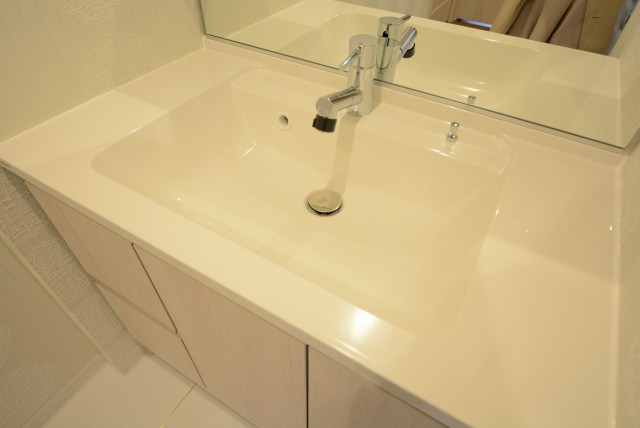 東急アルス本郷 洗面