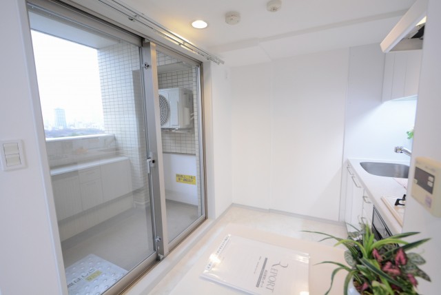 パークアクシス白金台南 バルコニー