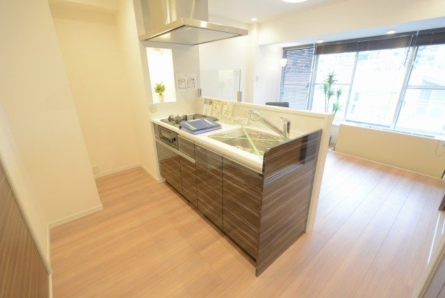 川口アパートメント キッチン