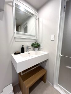 シャンボール恵比寿 洗面室