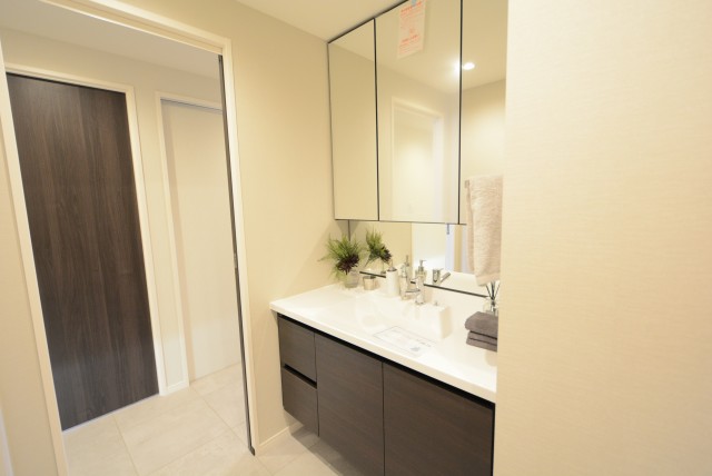 サンビューハイツ渋谷 洗面